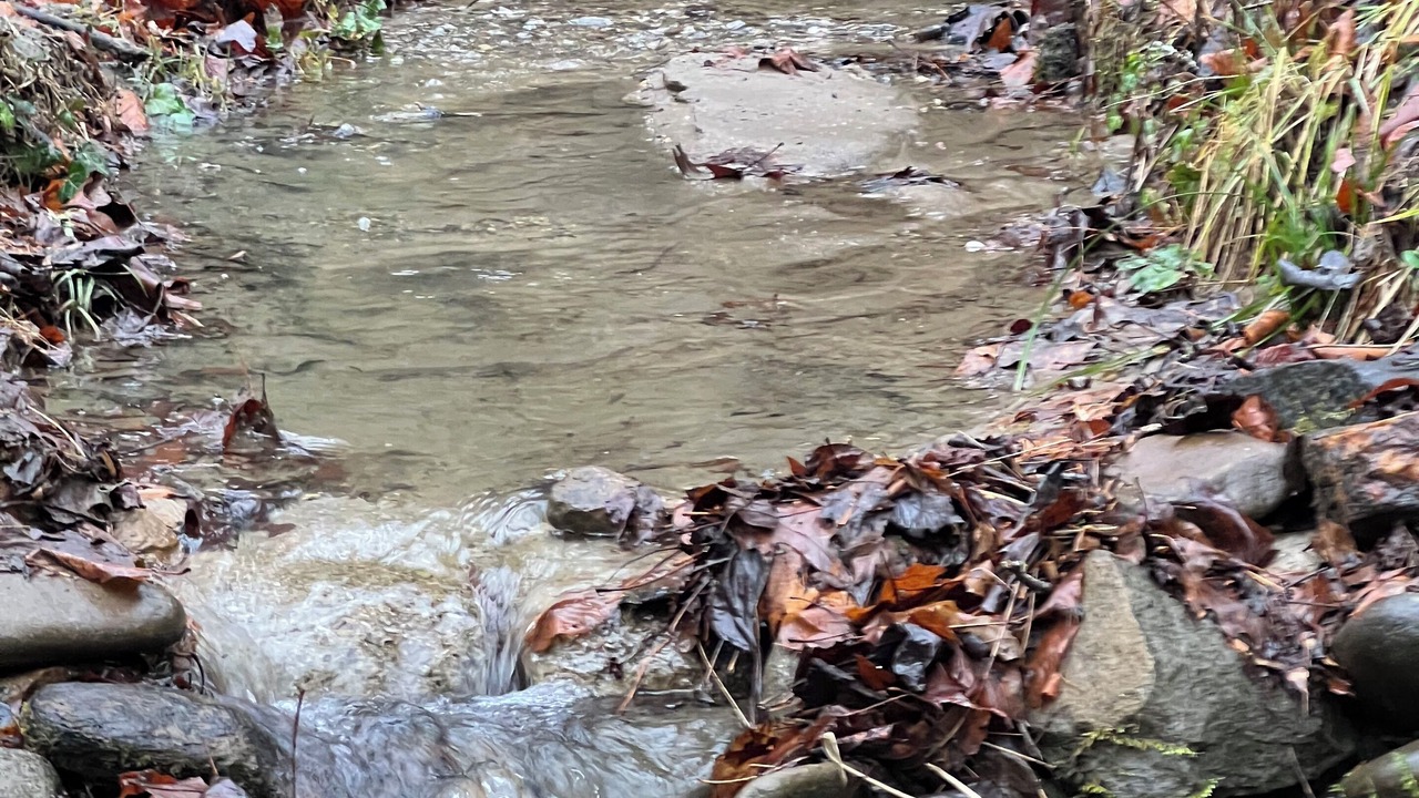 Photo of Others in Robbinsville