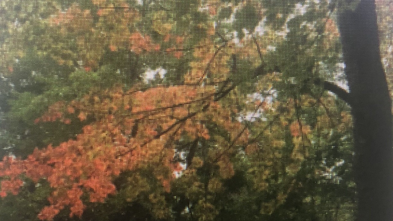 Photo of Others in Maggie Valley
