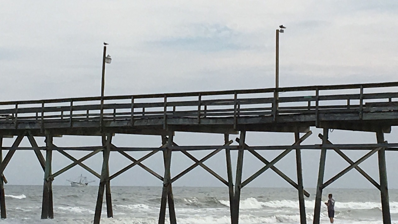 Photo of Others in Sea Trail