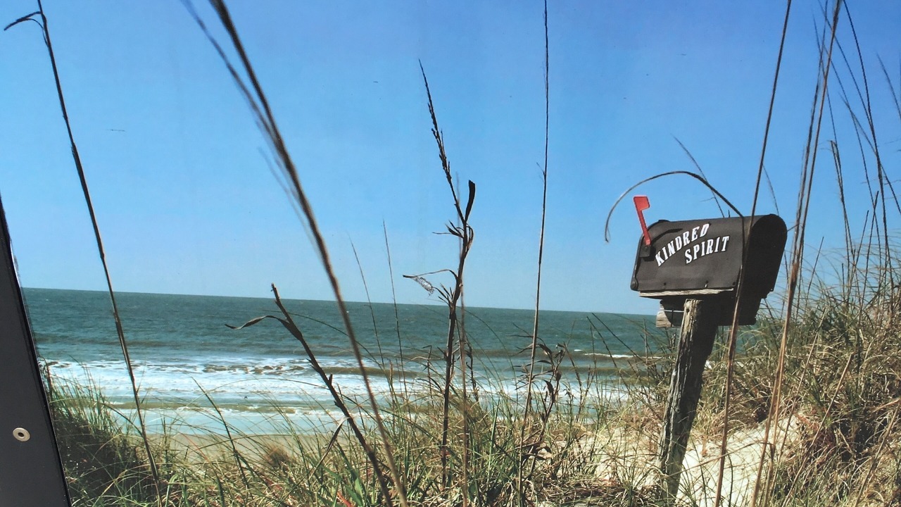 Photo of Others in Sea Trail