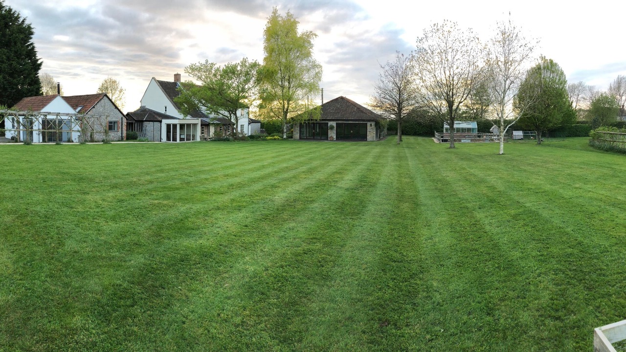 Photo of Outdoor in Wedmore