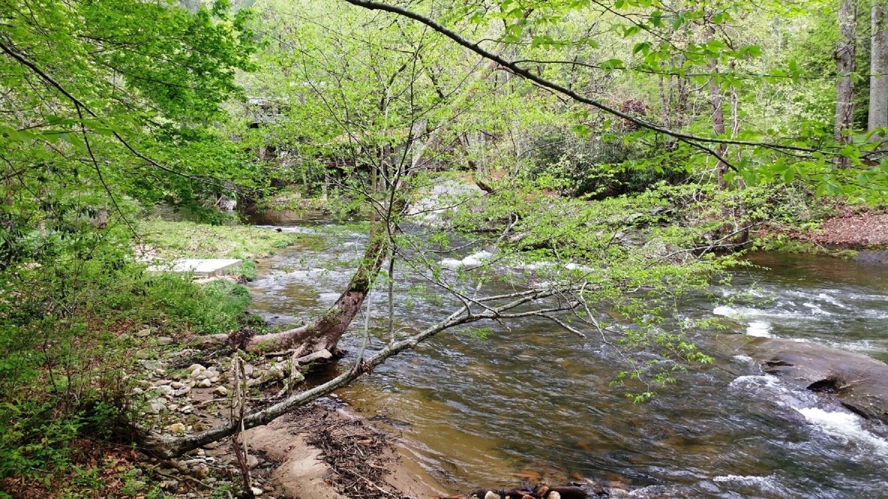 Photo of Others in Franklin