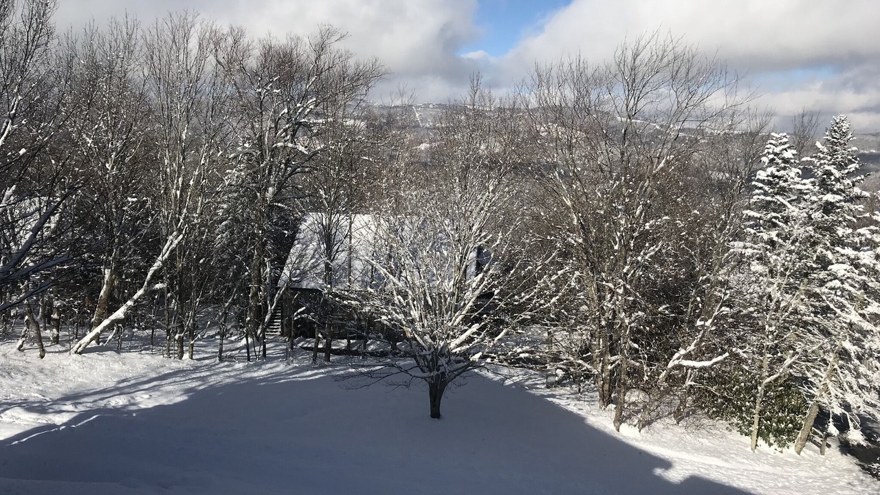 Photo of Others in Sugar Mountain
