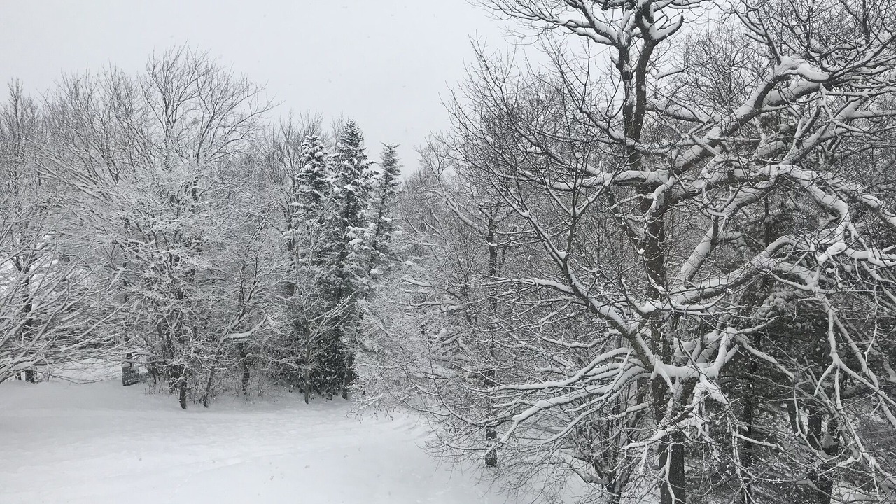 Photo of Outdoor in Sugar Mountain