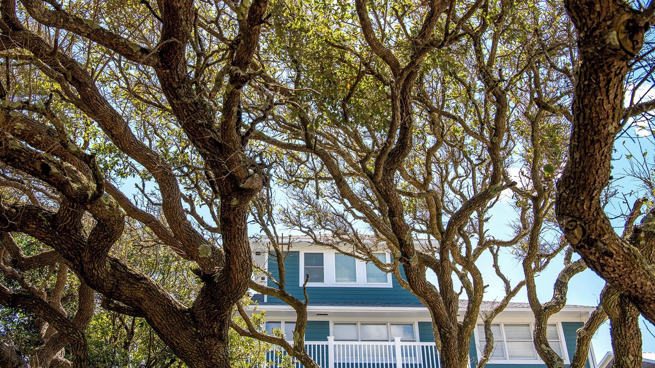 Photo of Outdoor in Pine Knoll Shores