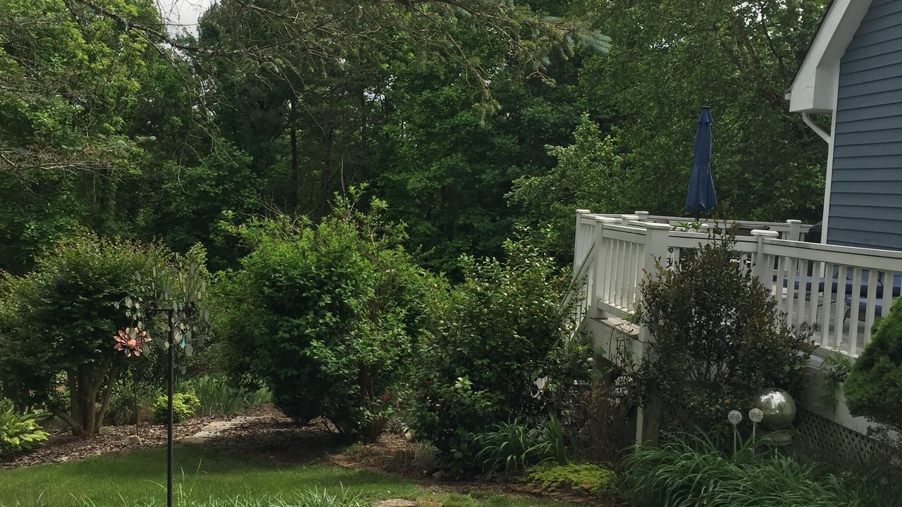 Photo of Outdoor in Fairview
