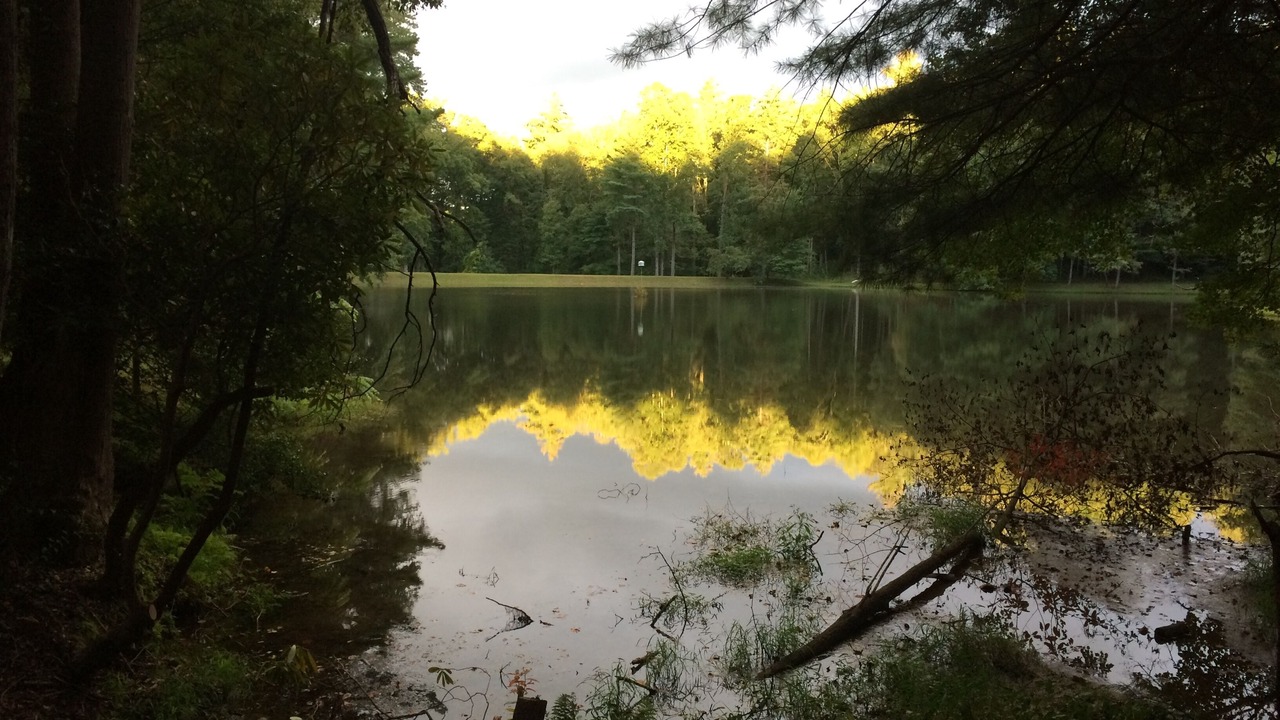 Photo of Outdoor in Arden