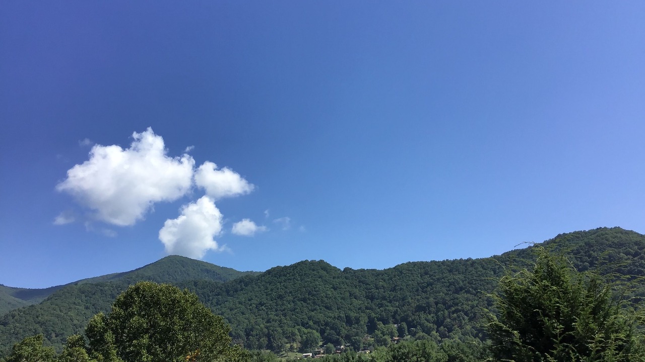 Photo of Others in Maggie Valley