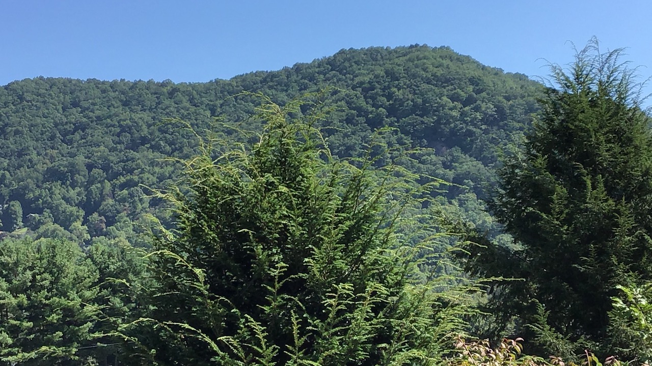 Photo of Outdoor in Maggie Valley