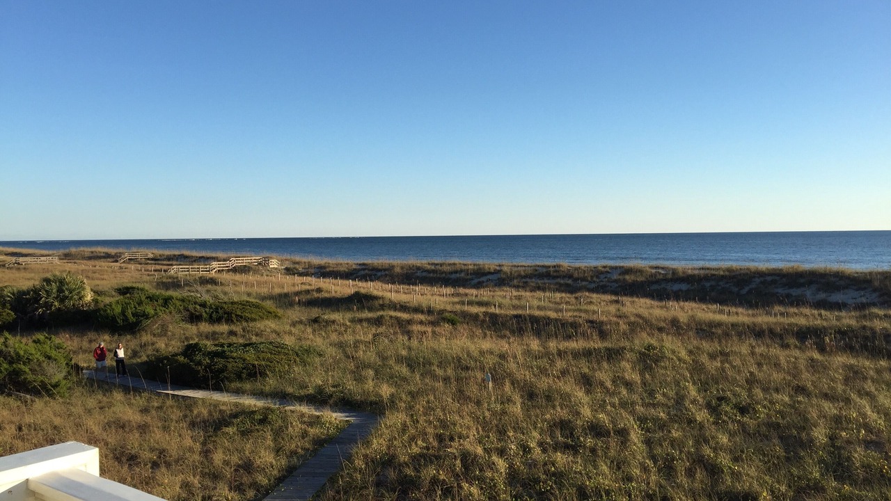 Photo of Outdoor in Flora's Bluff
