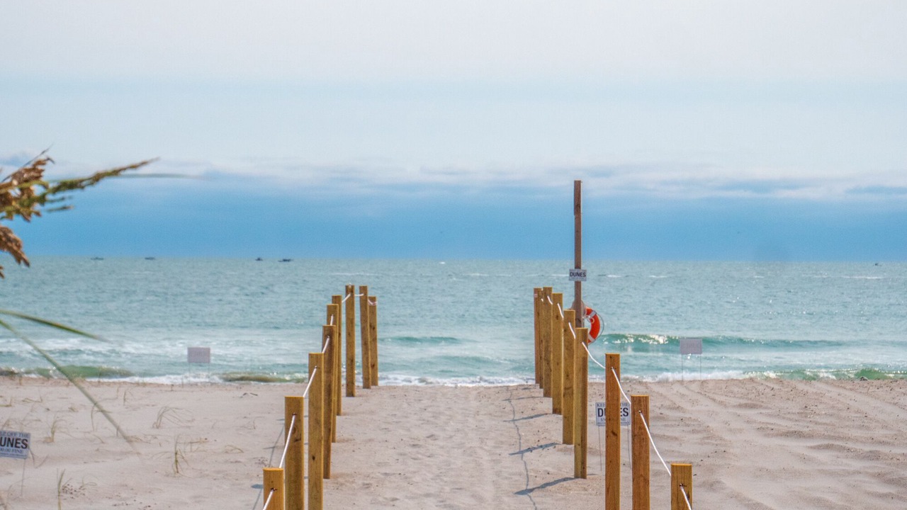 Photo of Others in Topsail Beach