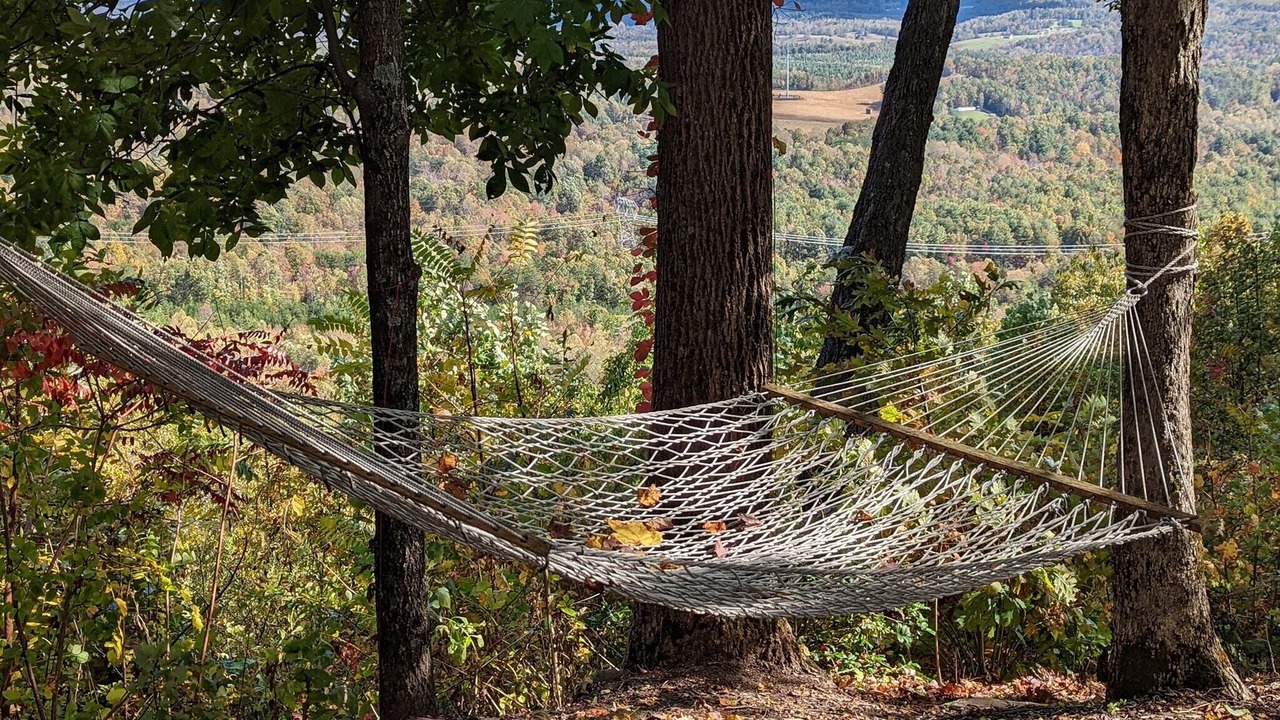 Photo of Outdoor in Traphill