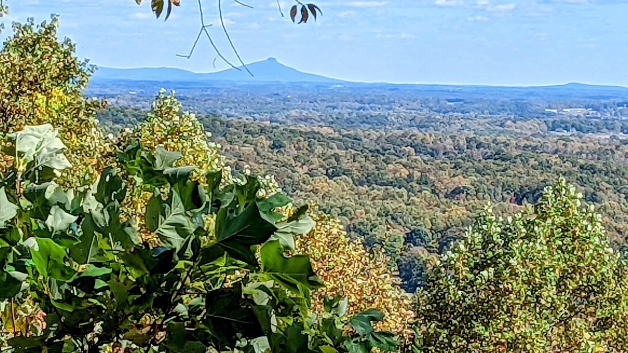 Photo of Others in Traphill