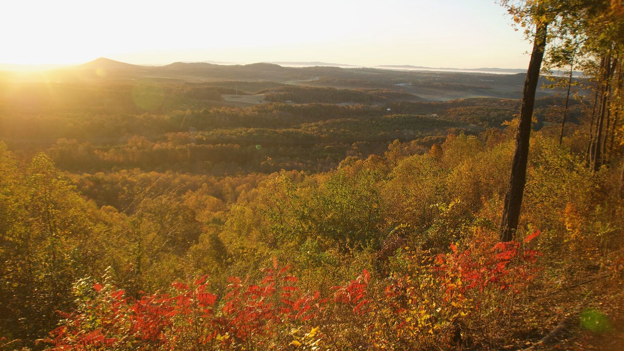Photo of Outdoor in Traphill