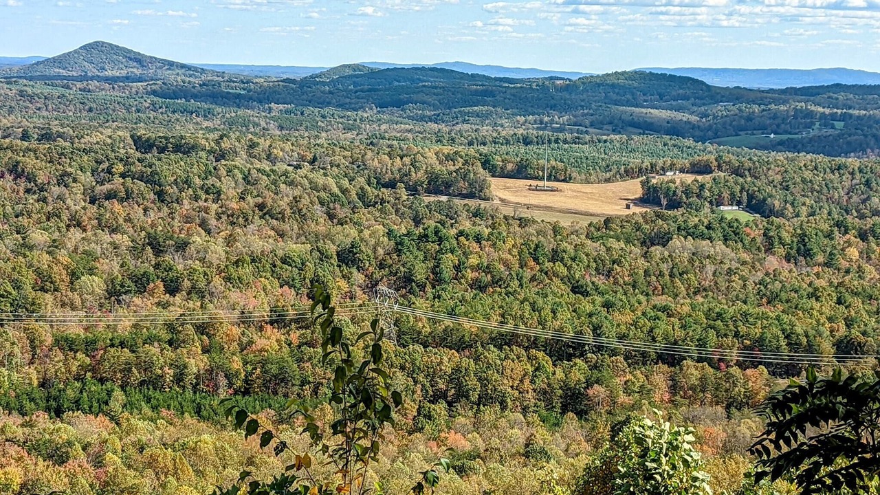 Photo of Outdoor in Traphill