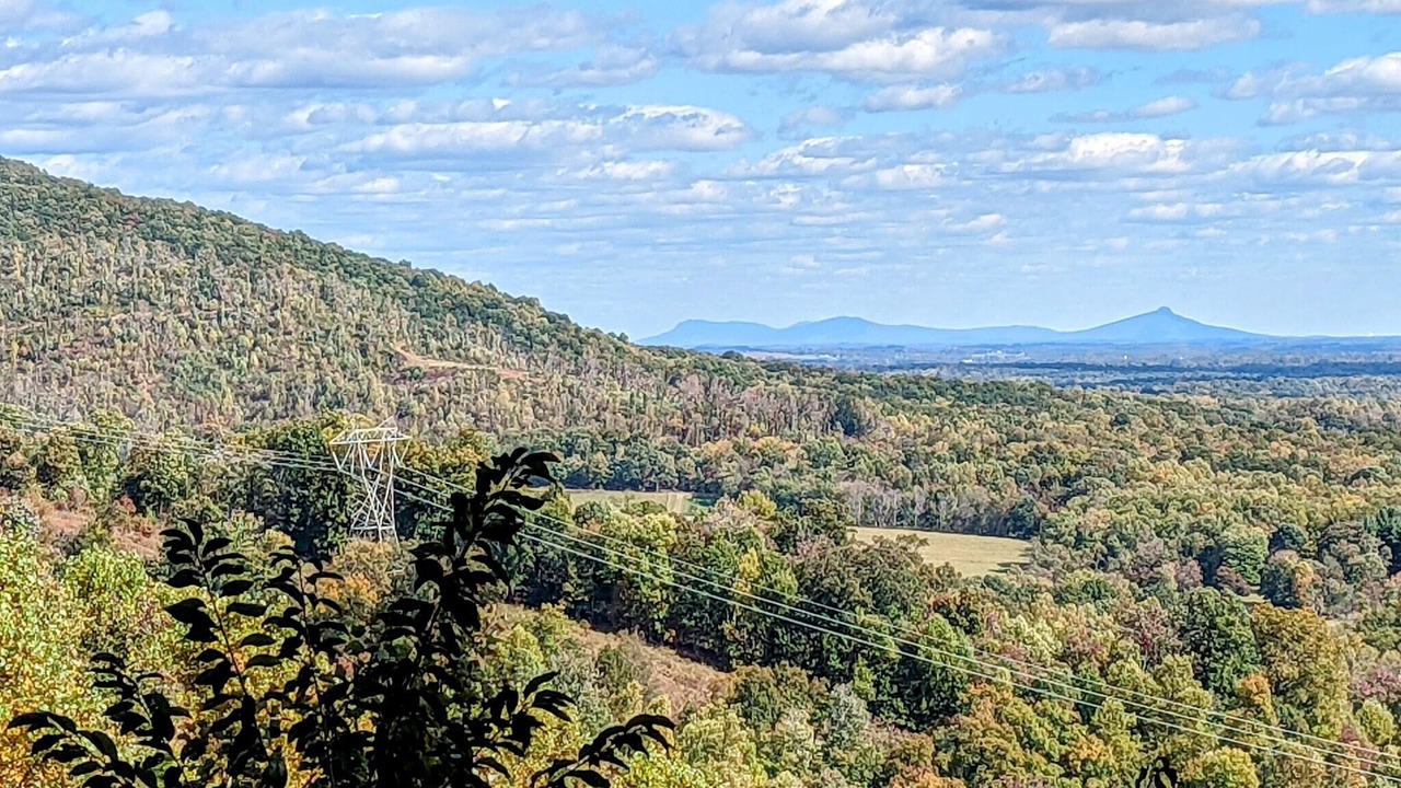 Photo of Others in Traphill