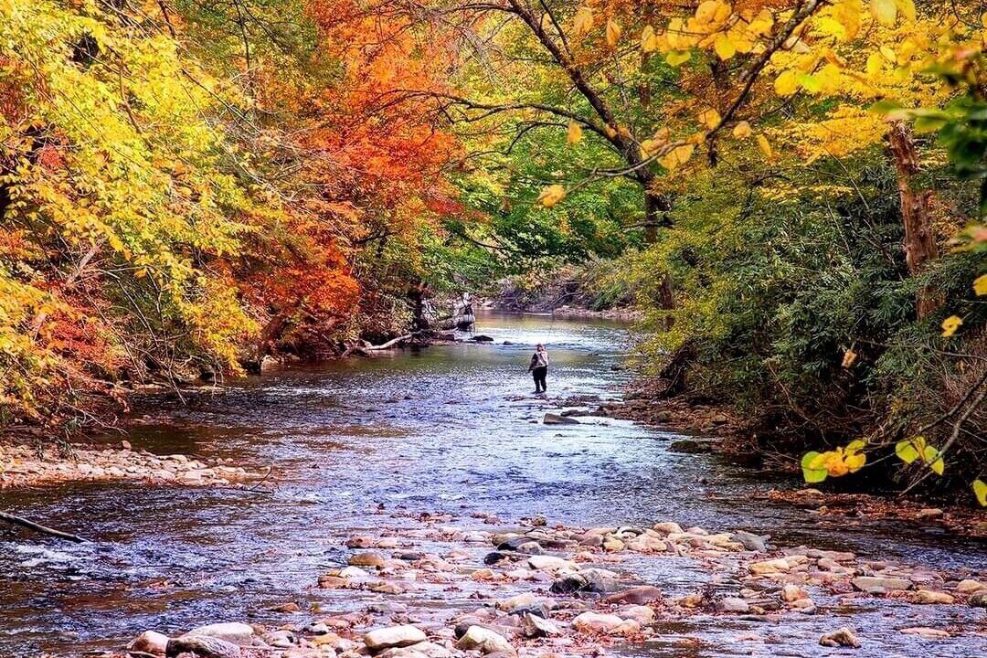 Photo of Outdoor in Traphill