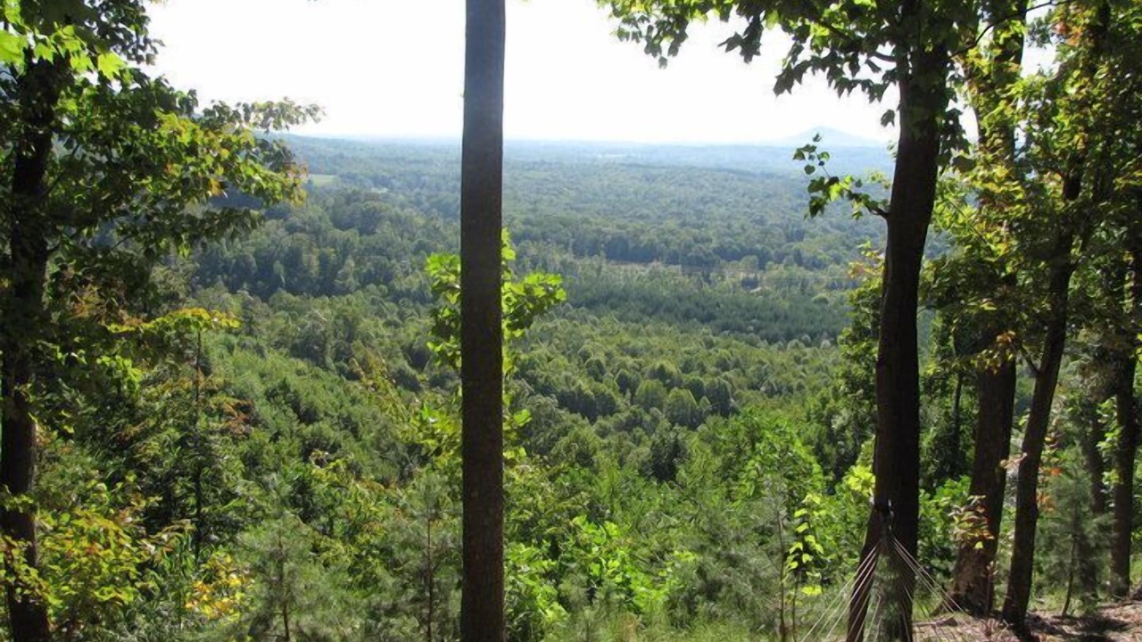 Photo of Outdoor in Traphill