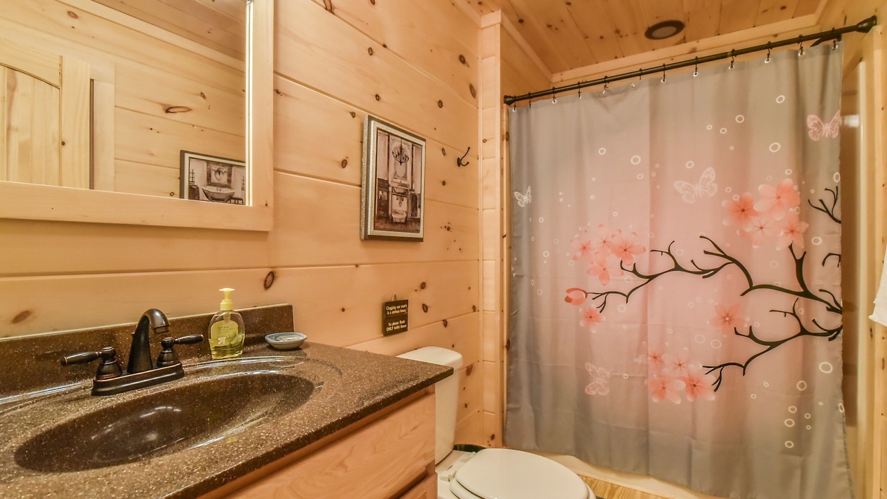 Photo of Bathroom in Black Mountain