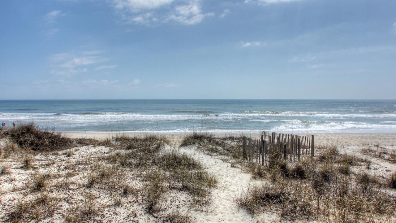 Photo of Others in Carolina Beach