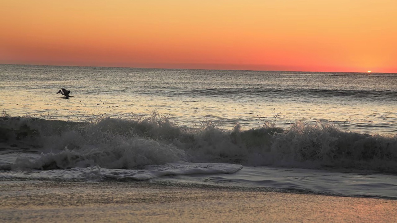 Photo of Others in Wilmington Beach
