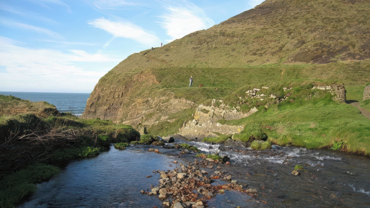 Photo of Others in Bideford