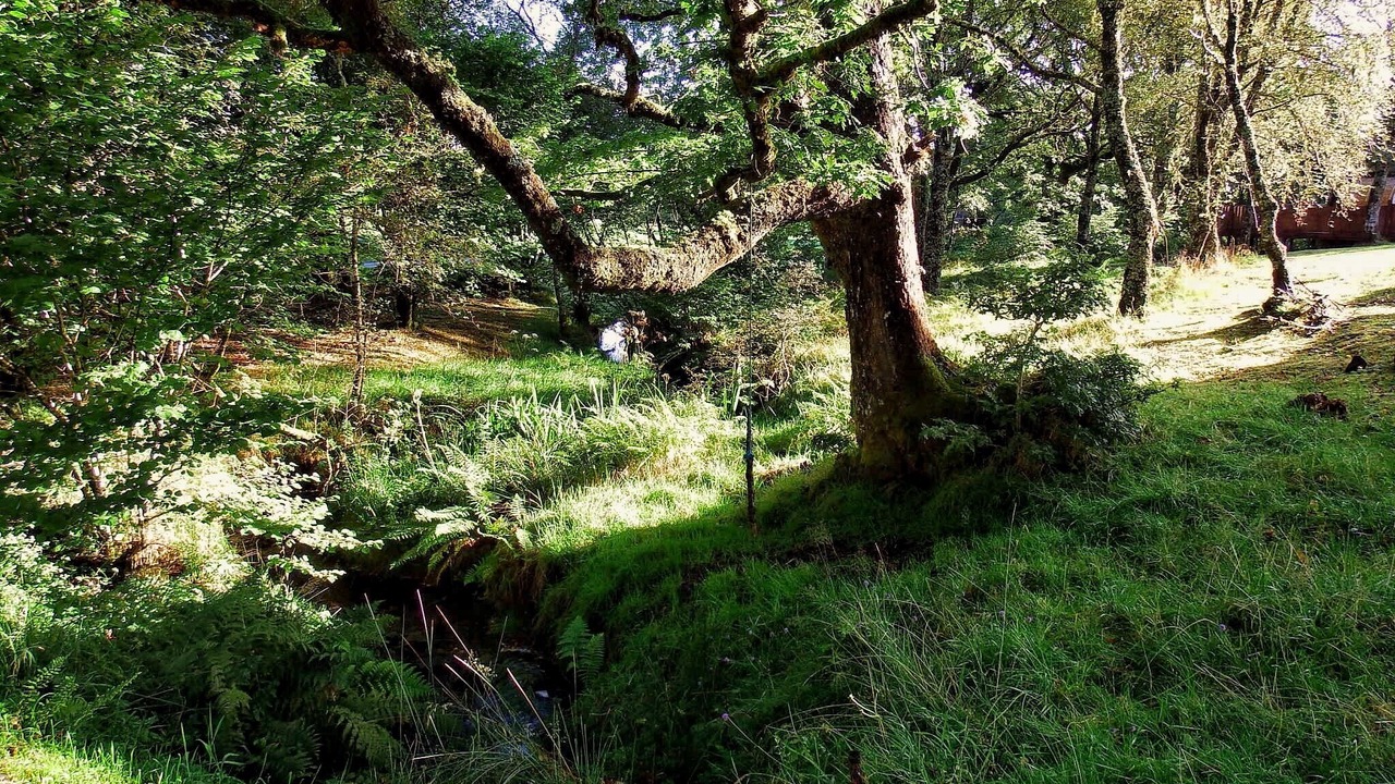 Photo of Outdoor in Dallavich