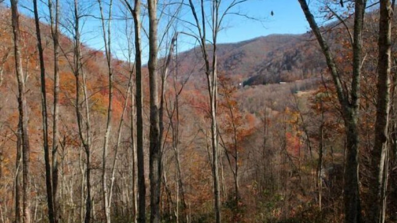 Photo of Others in Maggie Valley
