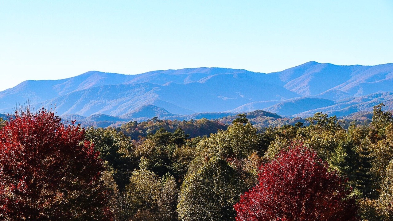 Photo of Others in Bryson City