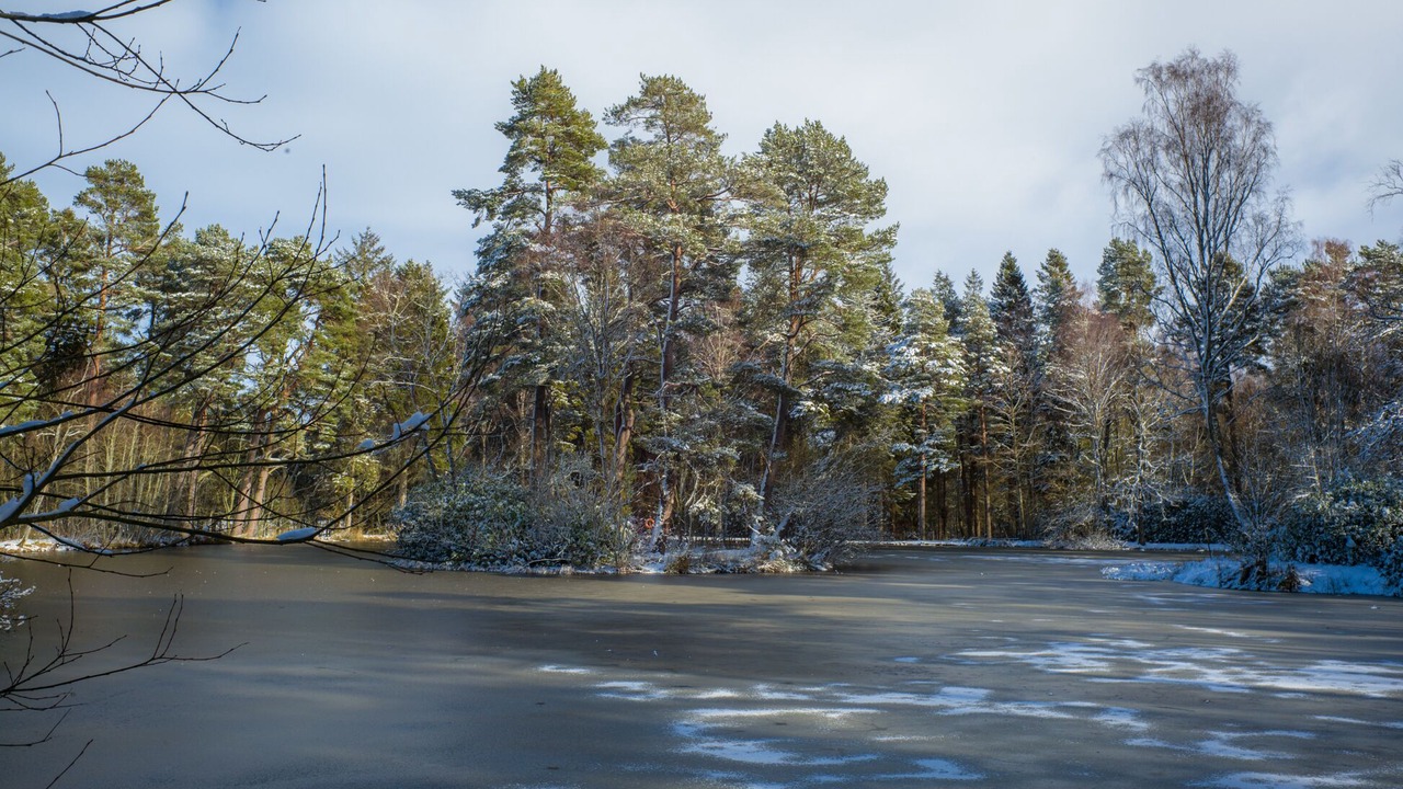 Photo of Outdoor in Otterburn