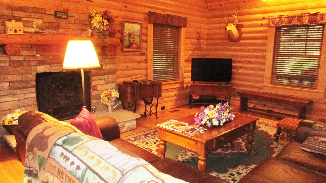 Photo of Livingroom in Seven Devils