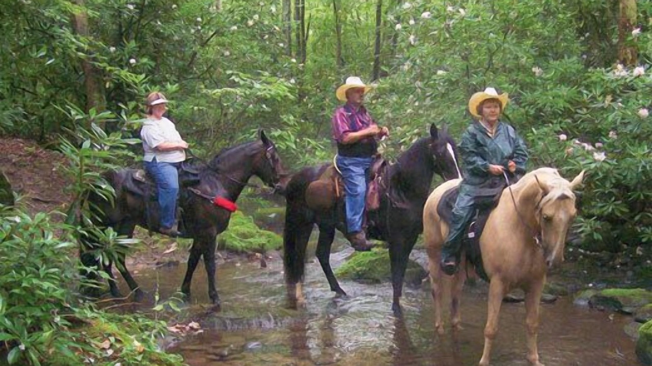 Photo of Others in Bryson City