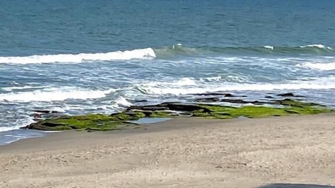 Photo of Others in Kure Beach