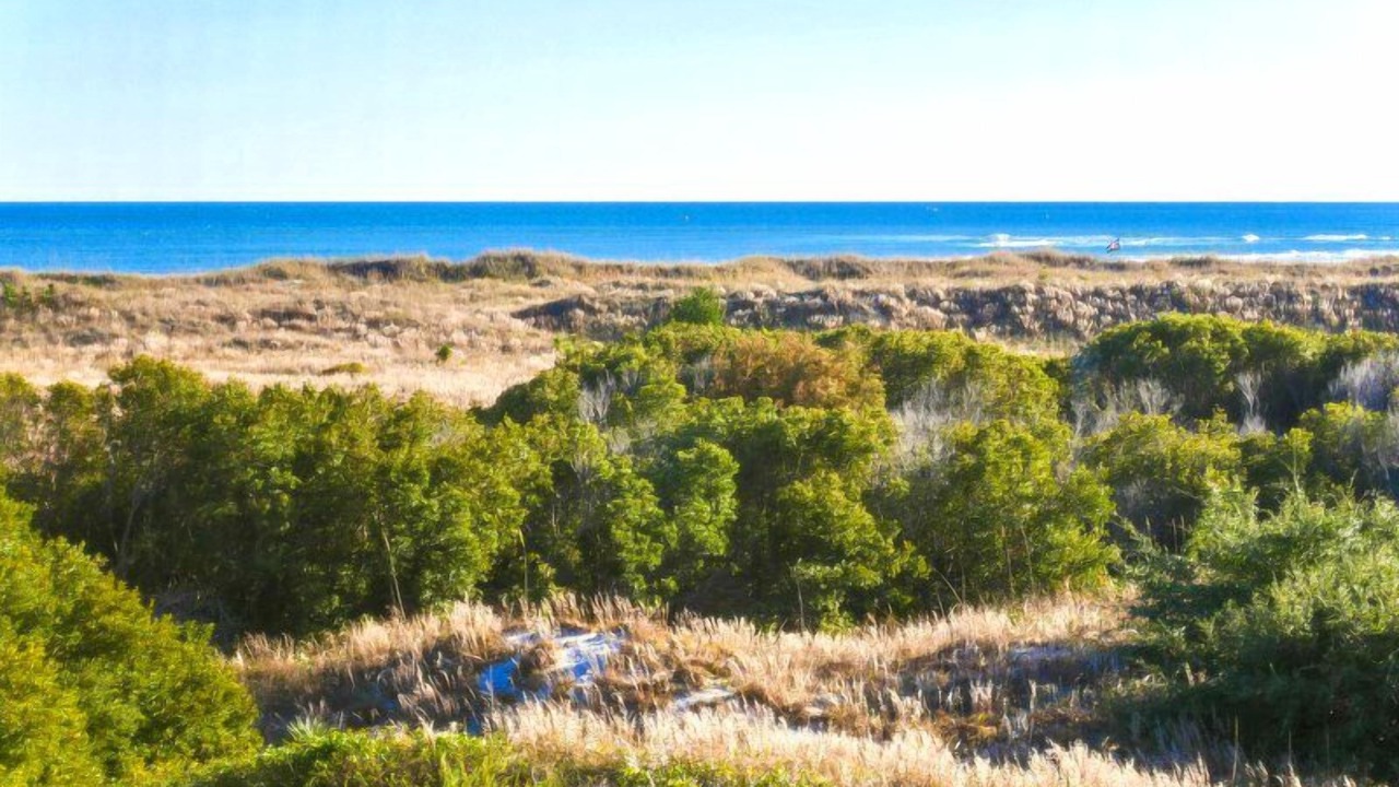Photo of Others in Topsail Beach