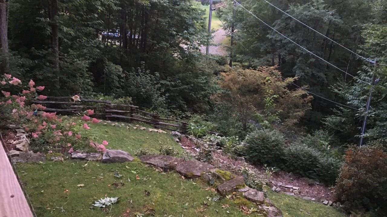 Photo of Outdoor in Cataloochee Ranch