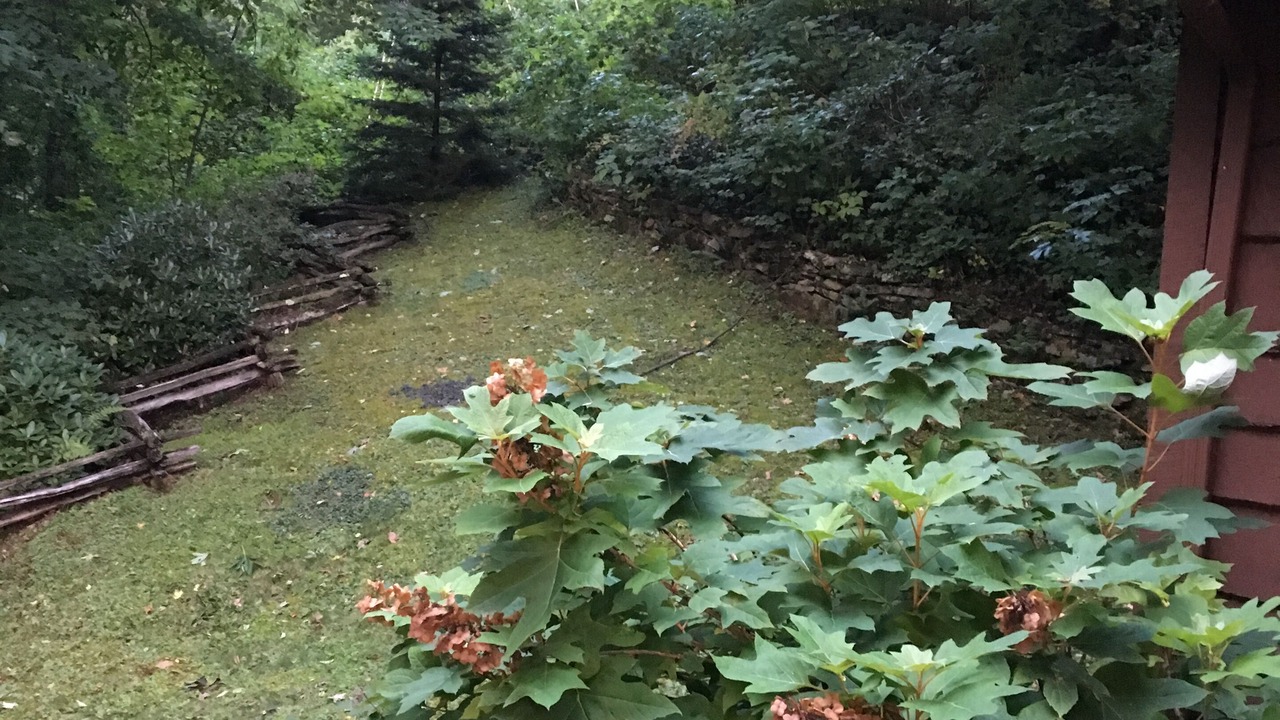 Photo of Outdoor in Cataloochee Ranch