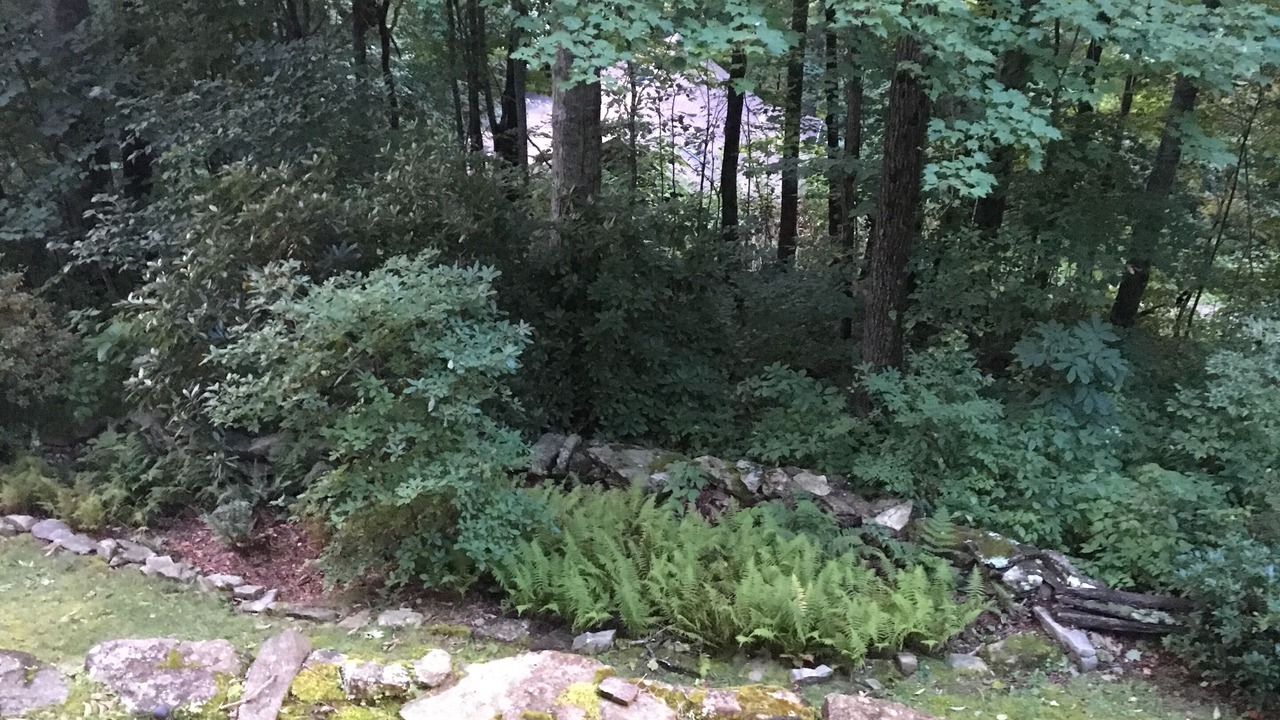 Photo of Outdoor in Cataloochee Ranch