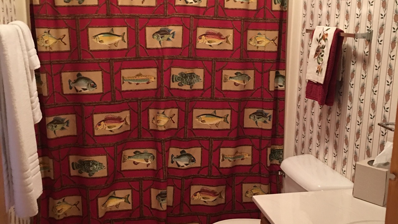 Photo of Bathroom in Cataloochee Ranch