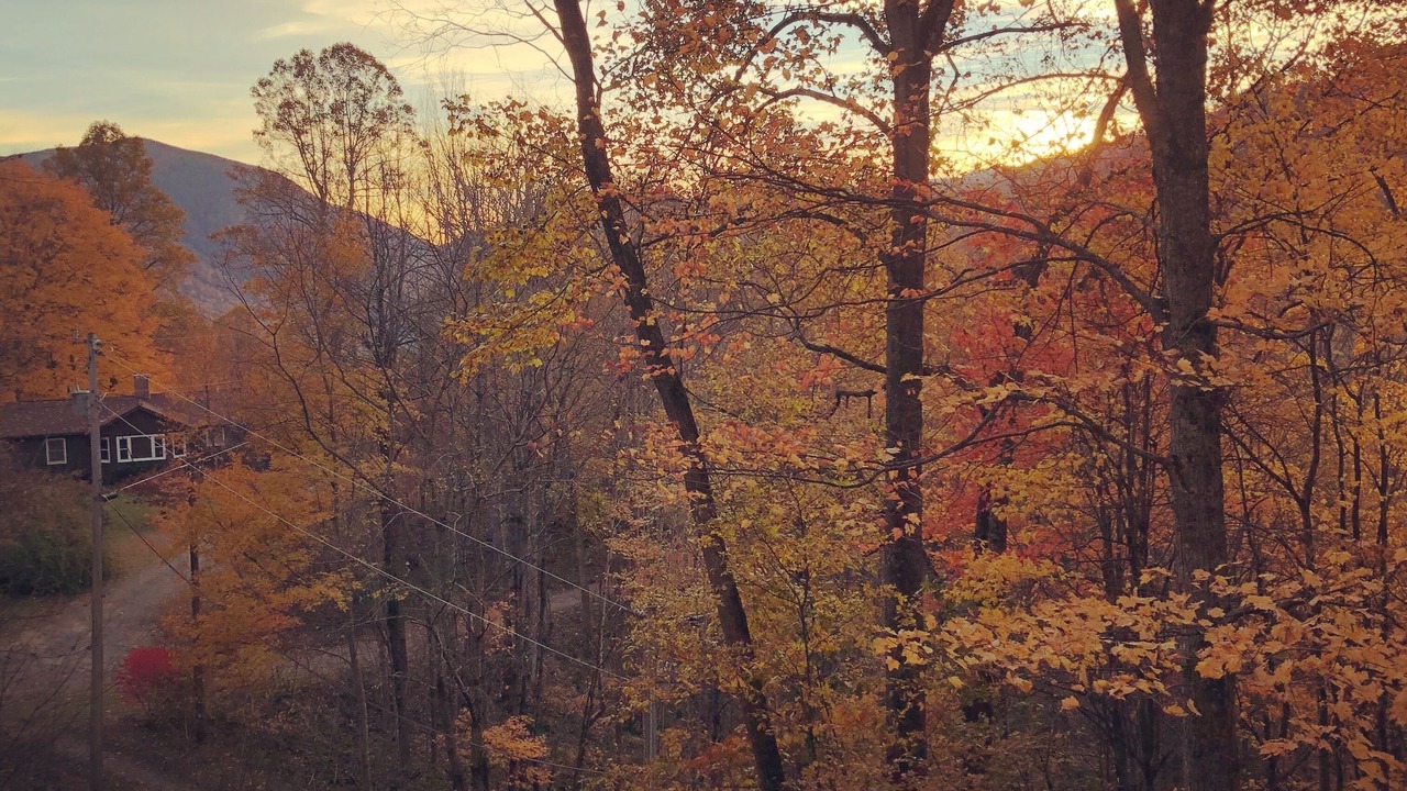 Photo of Outdoor in Cataloochee Ranch