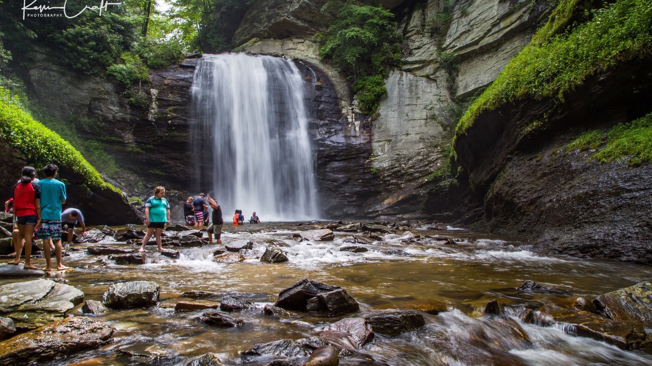Photo of Others in Pisgah Forest