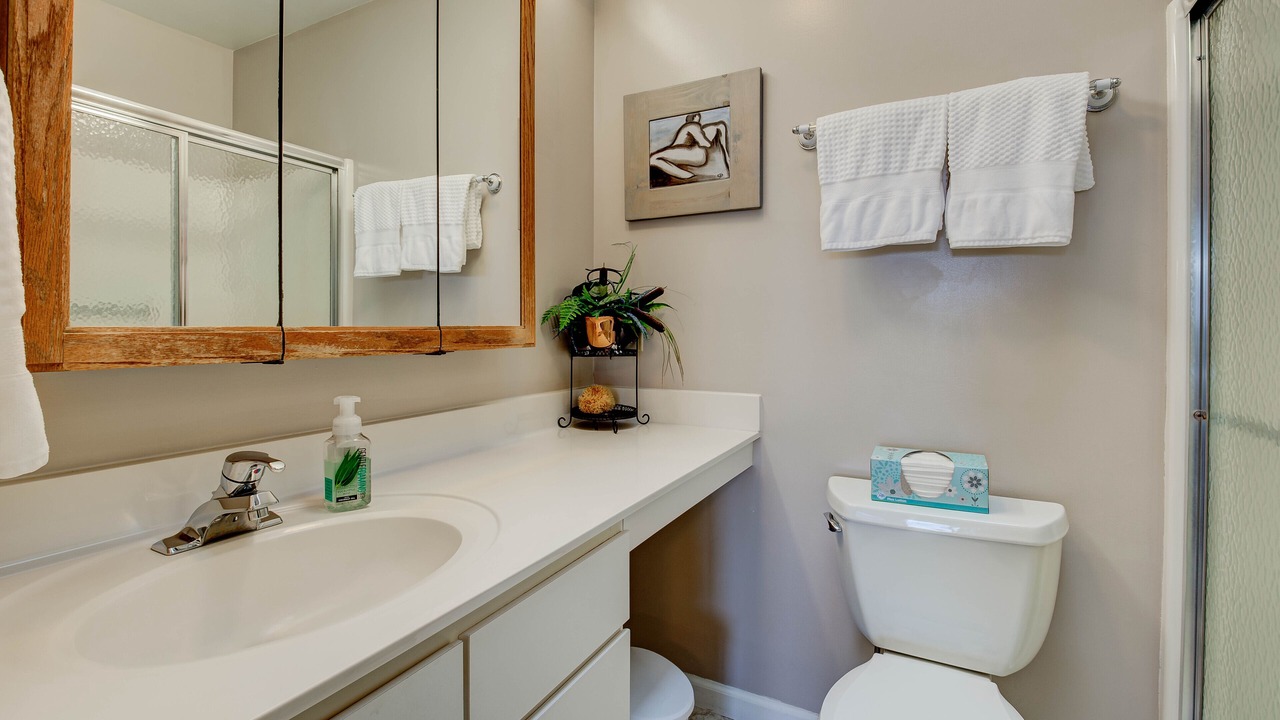 Photo of Bathroom in Pisgah Forest