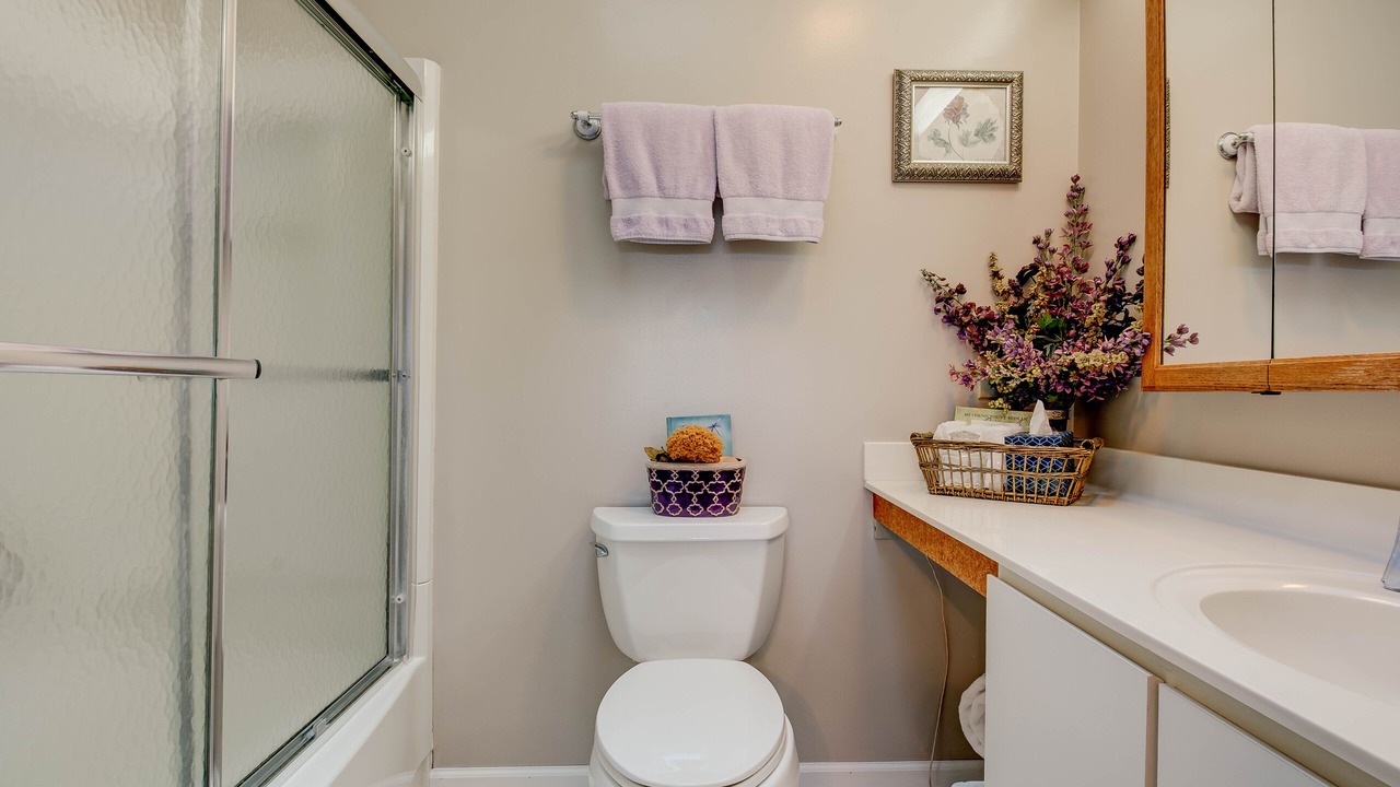 Photo of Bathroom in Pisgah Forest