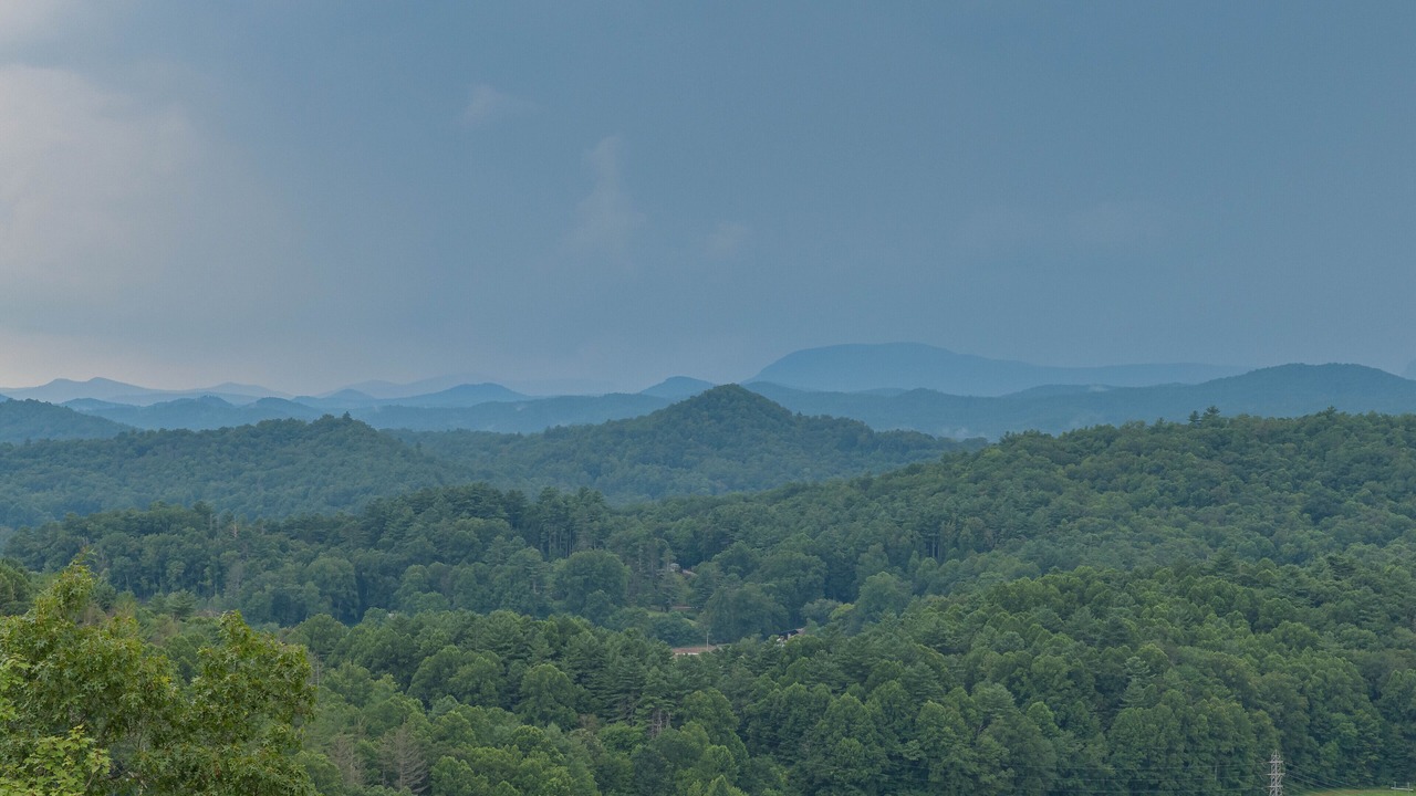 Photo of Others in Pisgah Forest