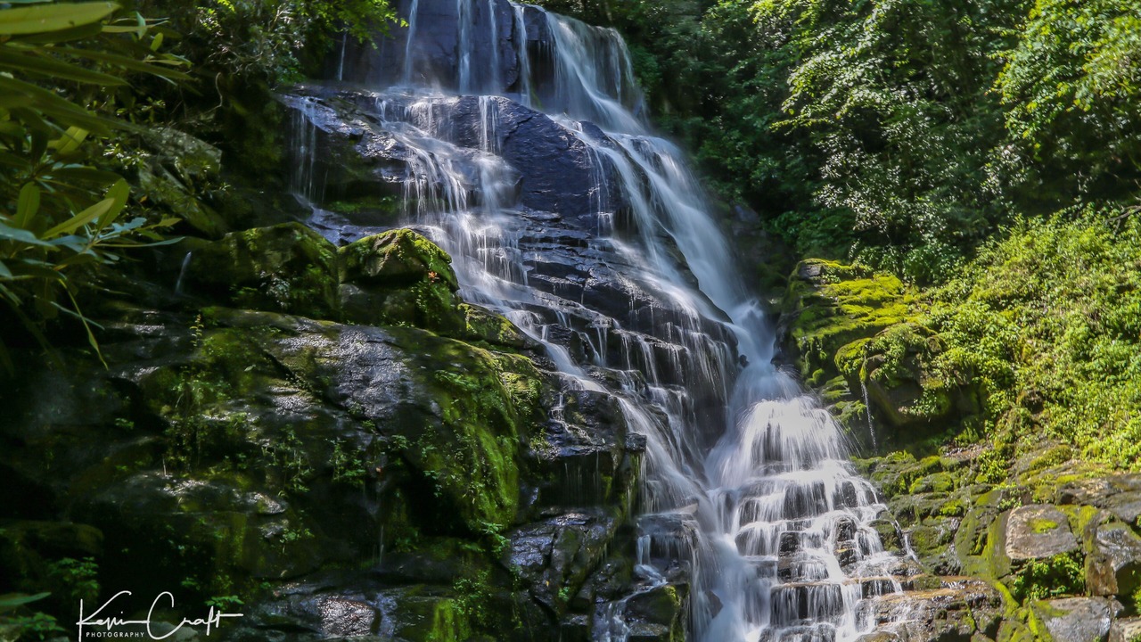 Photo of Outdoor in Pisgah Forest