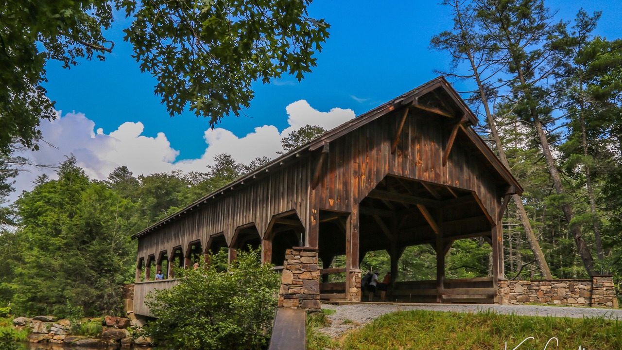 Photo of Outdoor in Pisgah Forest