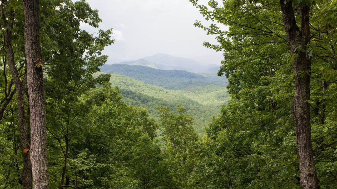 Photo of Others in Black Mountain