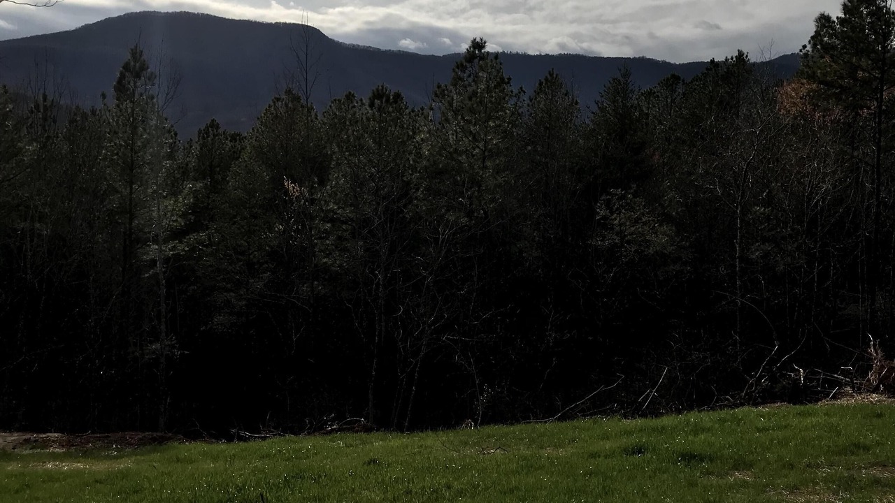 Photo of Outdoor in Mill Spring