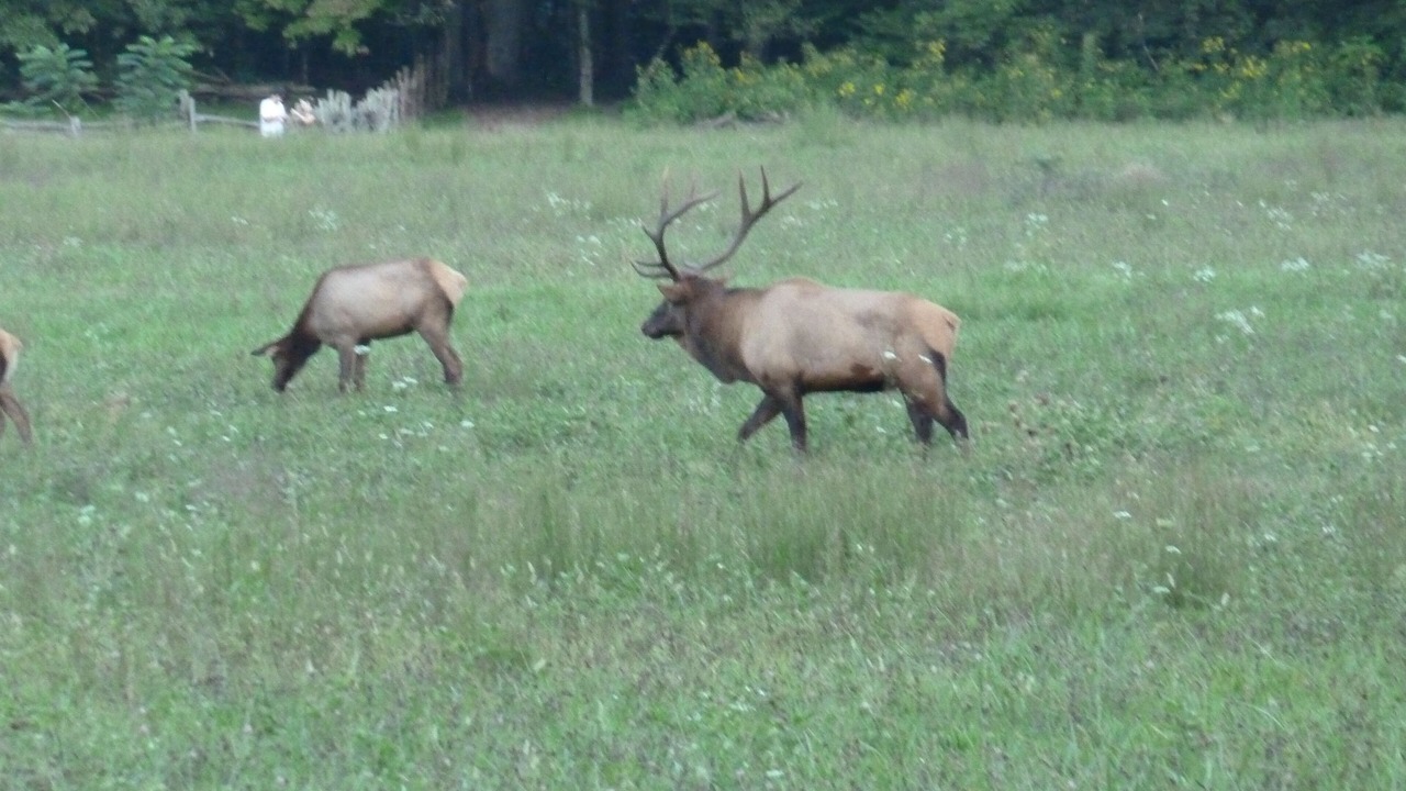 Photo of Others in Robbinsville