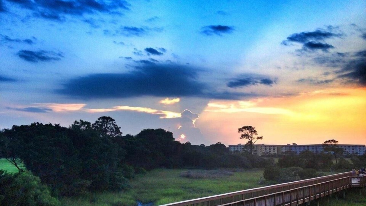 Photo of Others in Palmetto Dunes