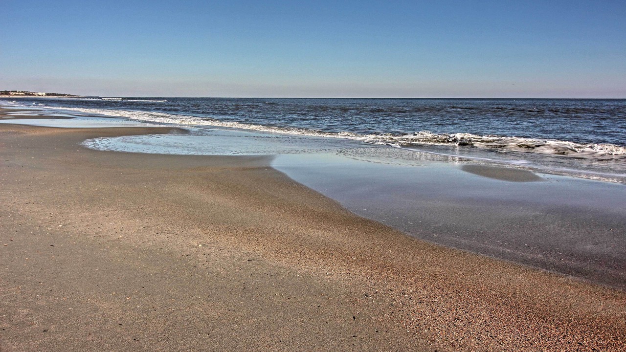 Photo of Others in Palmetto Dunes